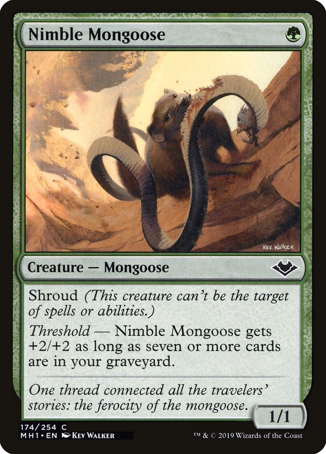 Nimble Mongoose [Modern Horizons] | The Gaming-Verse