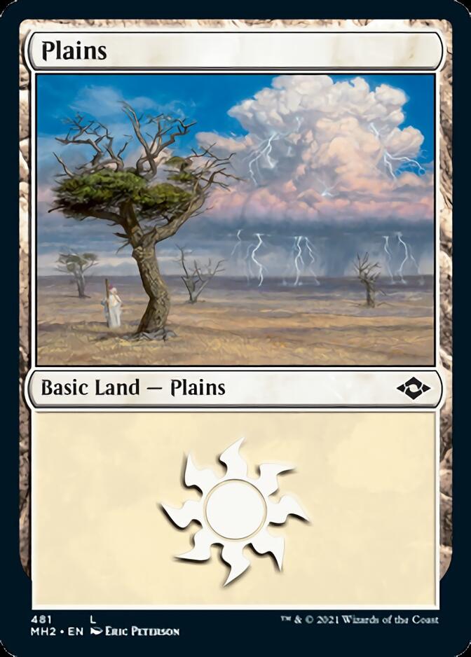 Plains (481) (Foil Etched) [Modern Horizons 2] | The Gaming-Verse