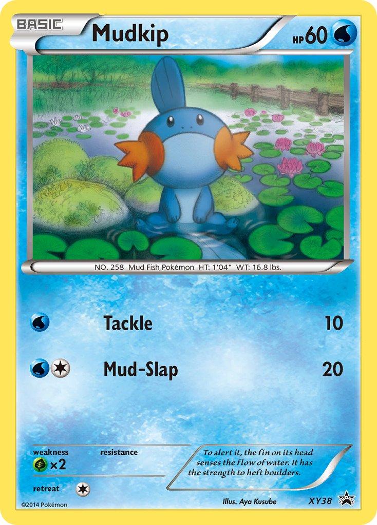 Mudkip (XY38) [XY: Black Star Promos] | The Gaming-Verse