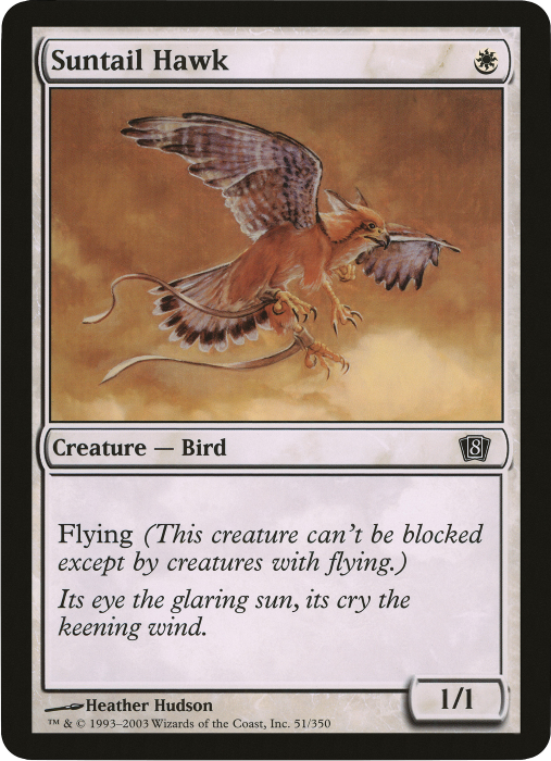 Suntail Hawk (Oversized) [Eighth Edition Box Topper] | The Gaming-Verse