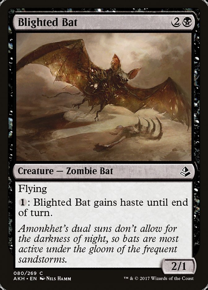 Blighted Bat [Amonkhet] | The Gaming-Verse
