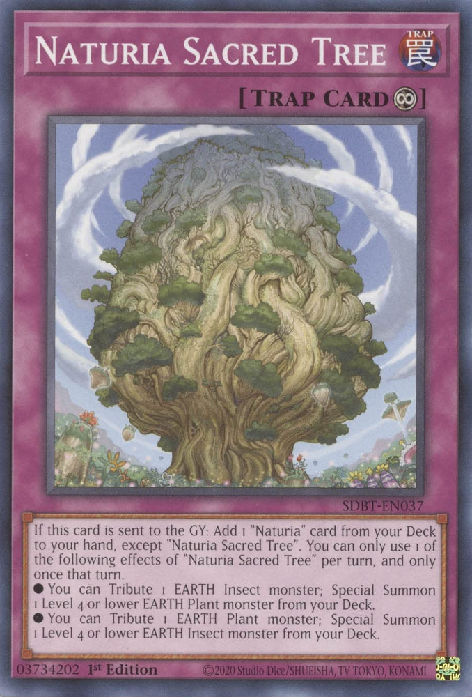 Naturia Sacred Tree [SDBT-EN037] Common | The Gaming-Verse