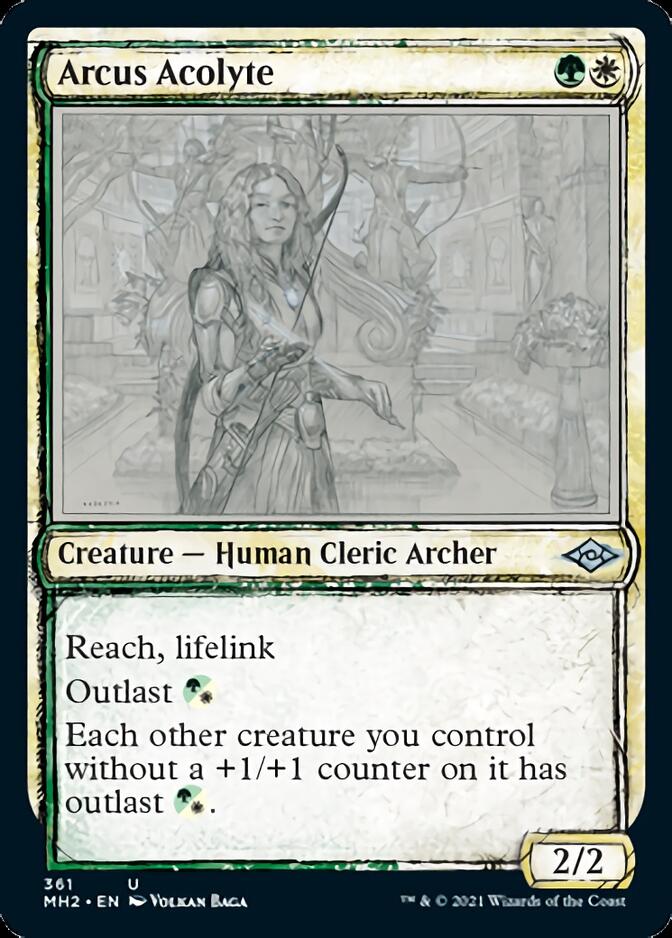 Arcus Acolyte (Sketch) [Modern Horizons 2] | The Gaming-Verse