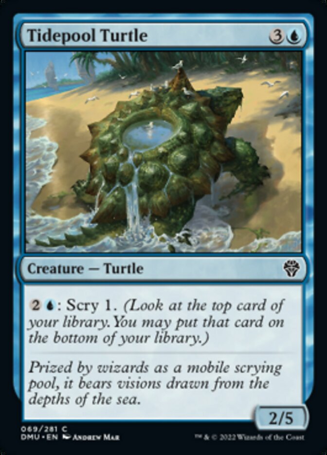 Tidepool Turtle [Dominaria United] | The Gaming-Verse