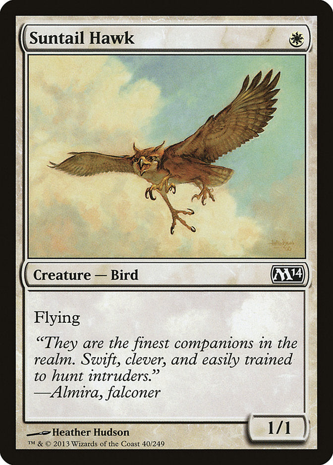 Suntail Hawk [Magic 2014] | The Gaming-Verse