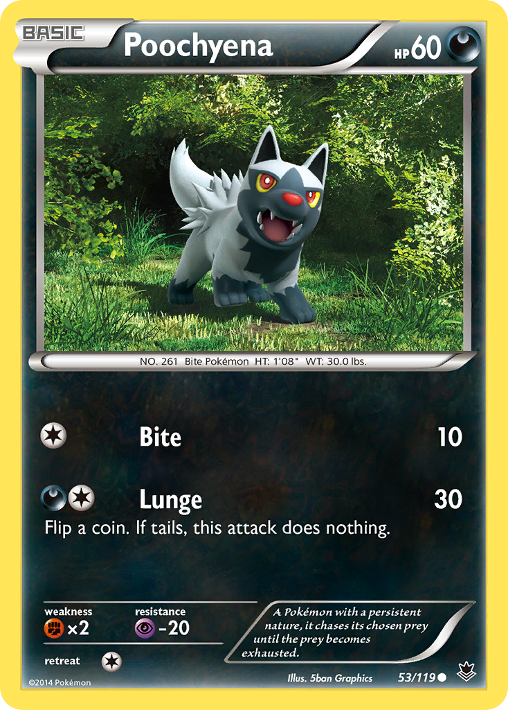 Poochyena (53/119) [XY: Phantom Forces] | The Gaming-Verse