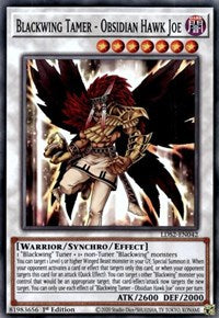 Blackwing Tamer - Obsidian Hawk Joe [LDS2-EN042] Common | The Gaming-Verse