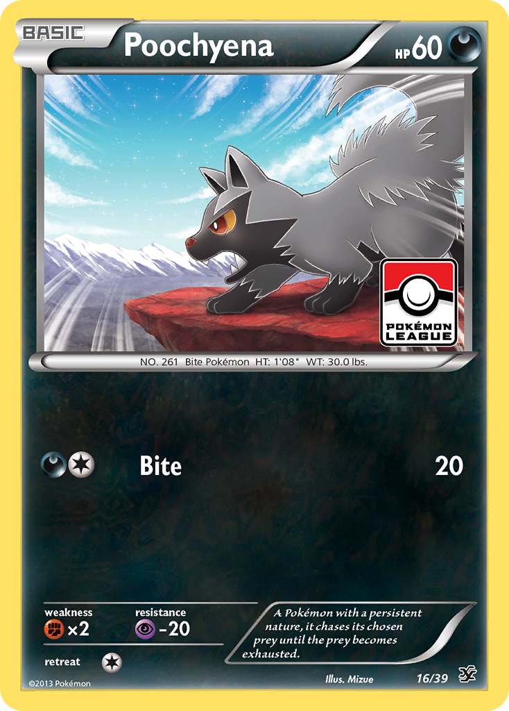 Poochyena (16/39) [XY: Kalos Starter Set] | The Gaming-Verse