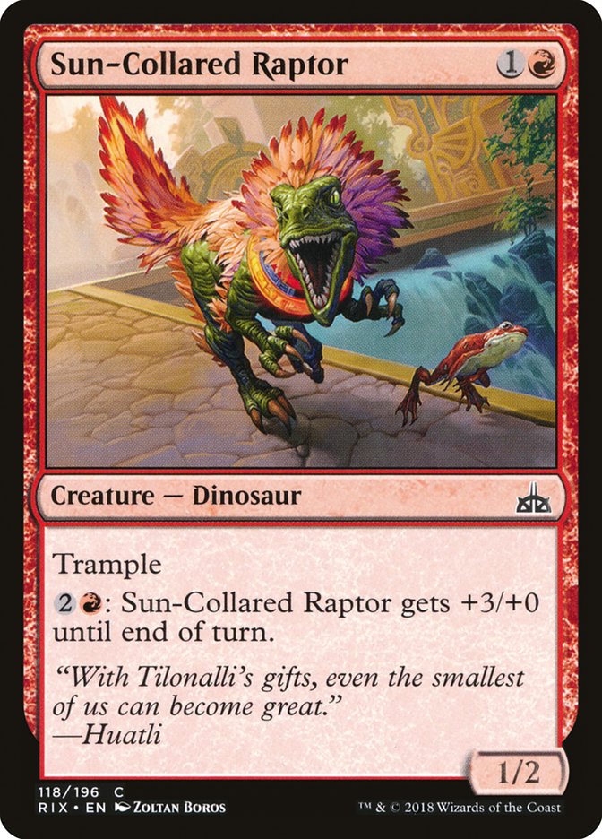 Sun-Collared Raptor [Rivals of Ixalan] | The Gaming-Verse