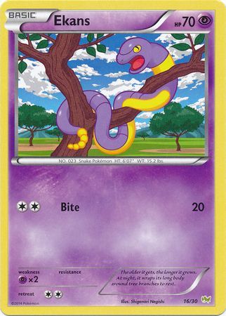 Ekans (16/30) [XY: Trainer Kit - Noivern] | The Gaming-Verse