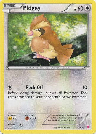 Pidgey (29/30) [XY: Trainer Kit 1 - Wigglytuff] | The Gaming-Verse