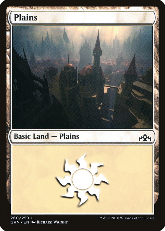 Plains (#260) [Guilds of Ravnica] | The Gaming-Verse