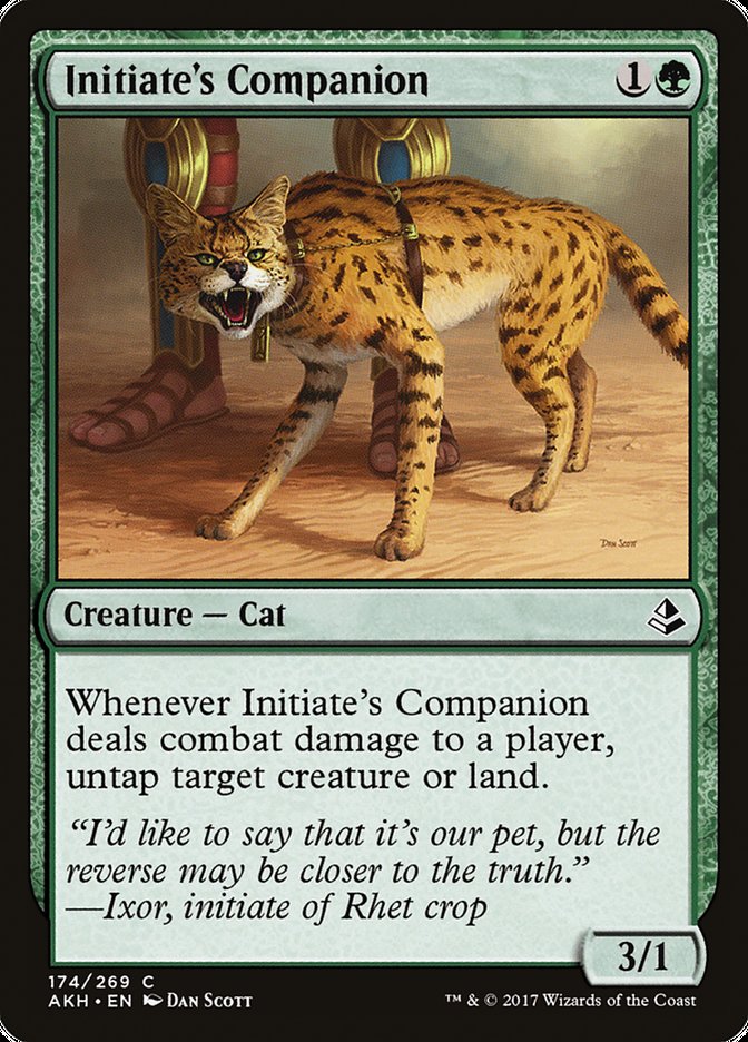 Initiate's Companion [Amonkhet] | The Gaming-Verse