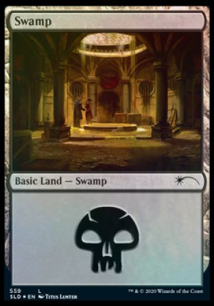 Swamp (Rogues) (559) [Secret Lair Drop Promos] | The Gaming-Verse