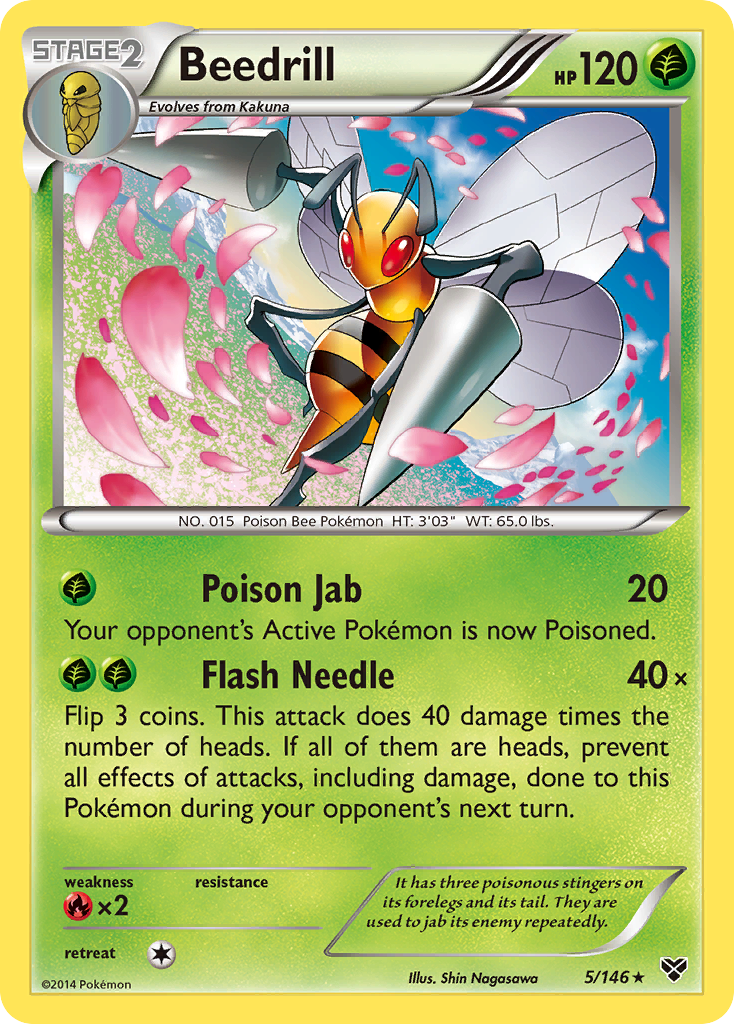 Beedrill (5/146) [XY: Base Set] | The Gaming-Verse