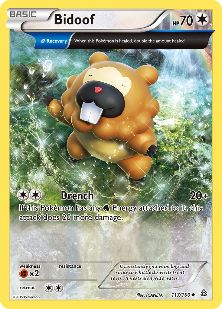 Bidoof (117/160) [XY: Primal Clash] | The Gaming-Verse