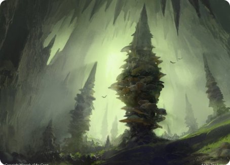 Forest (280) Art Card [Dungeons & Dragons: Adventures in the Forgotten Realms Art Series] | The Gaming-Verse