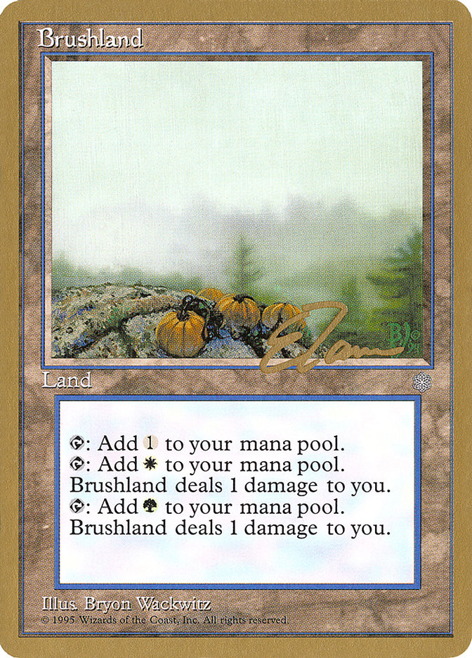 Brushland (Eric Tam) [Pro Tour Collector Set] | The Gaming-Verse