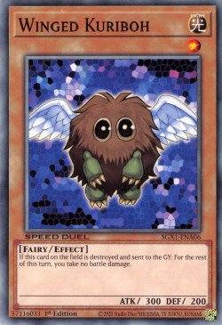 Winged Kuriboh [SGX1-ENA06] Common | The Gaming-Verse