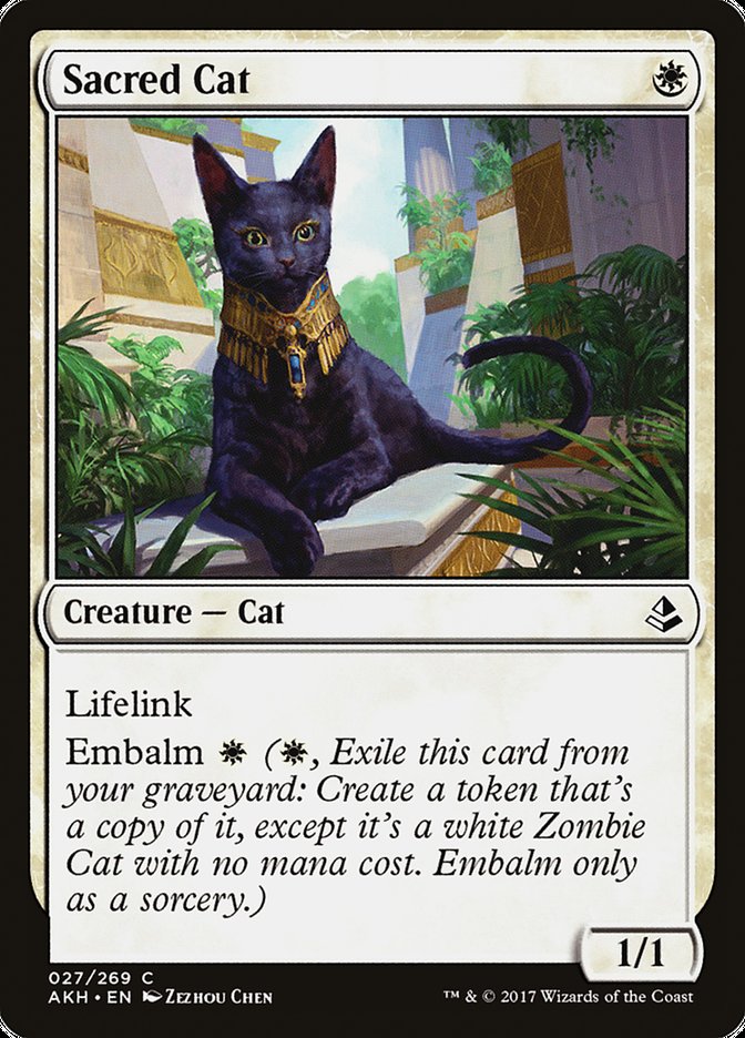 Sacred Cat [Amonkhet] | The Gaming-Verse